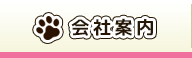 会社案内