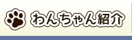 ワンちゃん紹介