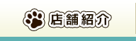 店舗紹介